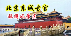 我要看那个大鸡巴操美女中国北京-东城古宫旅游风景区